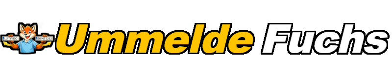 Kfz online ummelden